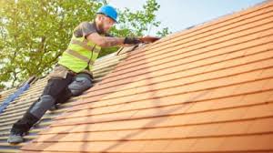 Best Roof Moss and Algae Removal  in Bainbridge, PA