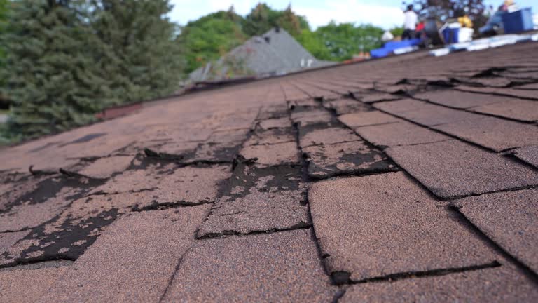 Best Wood Shake Roofing  in Bainbridge, PA