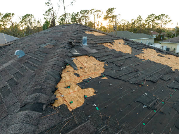 Best Roofing for New Construction  in Bainbridge, PA