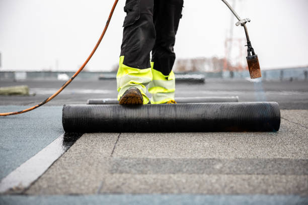 Best Asphalt Shingle Roofing  in Bainbridge, PA